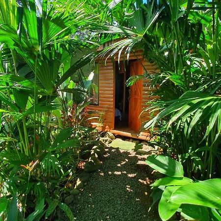 Arenal Rustic Lodge Αλαχουέλα Εξωτερικό φωτογραφία
