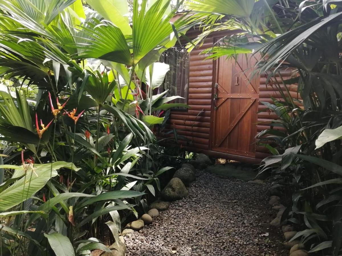 Arenal Rustic Lodge Αλαχουέλα Εξωτερικό φωτογραφία