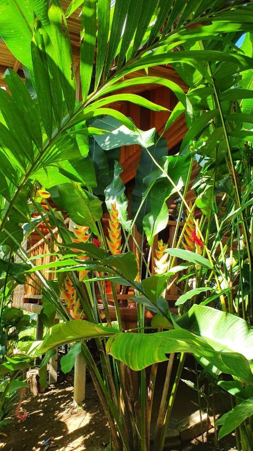 Arenal Rustic Lodge Αλαχουέλα Εξωτερικό φωτογραφία