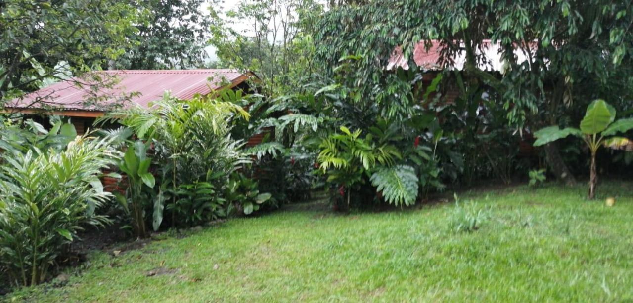Arenal Rustic Lodge Αλαχουέλα Εξωτερικό φωτογραφία