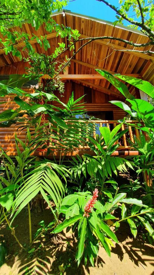 Arenal Rustic Lodge Αλαχουέλα Εξωτερικό φωτογραφία